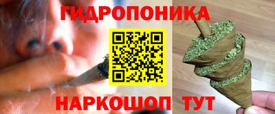 шишки Бузулук