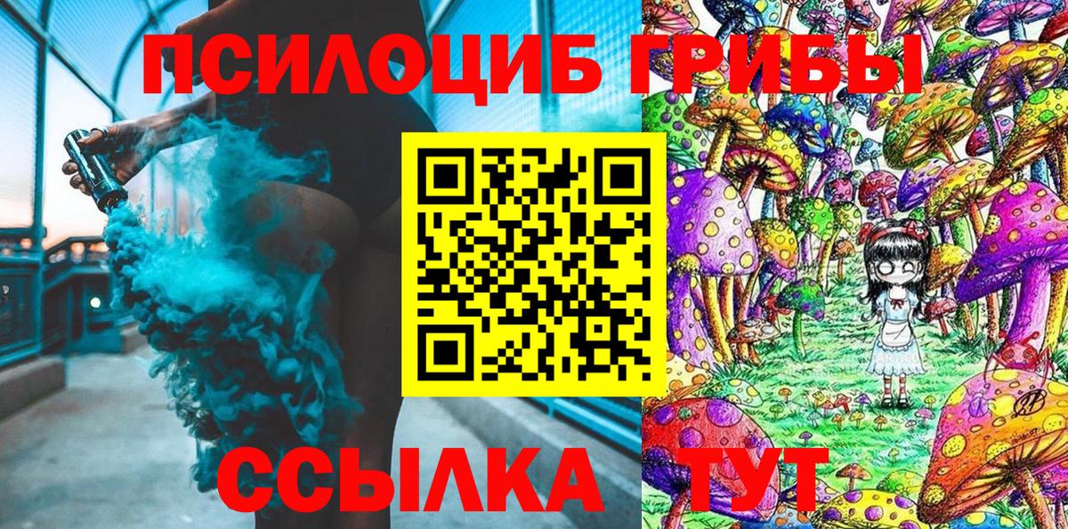 Галлюциногенные грибы Psilocybe Благовещенск