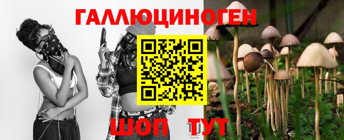 Благовещенск  магазин    Вход с VPN  Псилоцибиновые грибы мицелий 